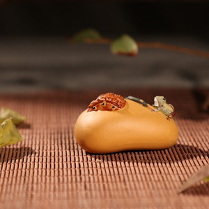 연밥 위 청개구리2
